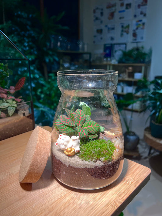 CNY Theme - Fittonia with Moss Arrangement in Cover A Line Jar Glass
