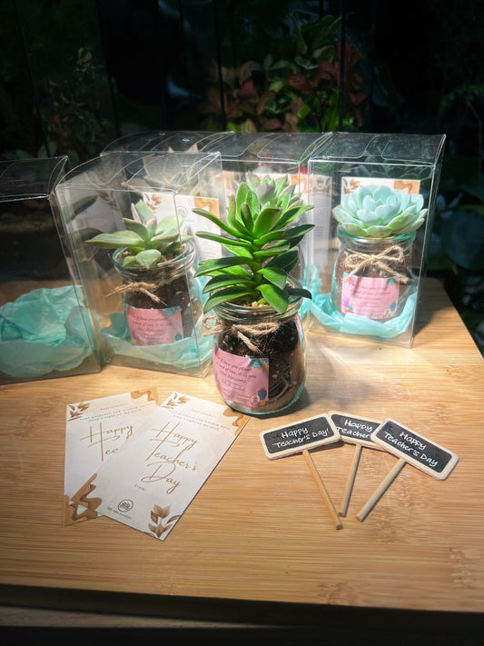Teacher’s Day Gift - Succulent in Pudding Jar with Blackboard in PVC Box (5pcs/set)