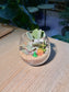 Succulent Arrangement Terrarium (多肉植物) in Crystal Glass