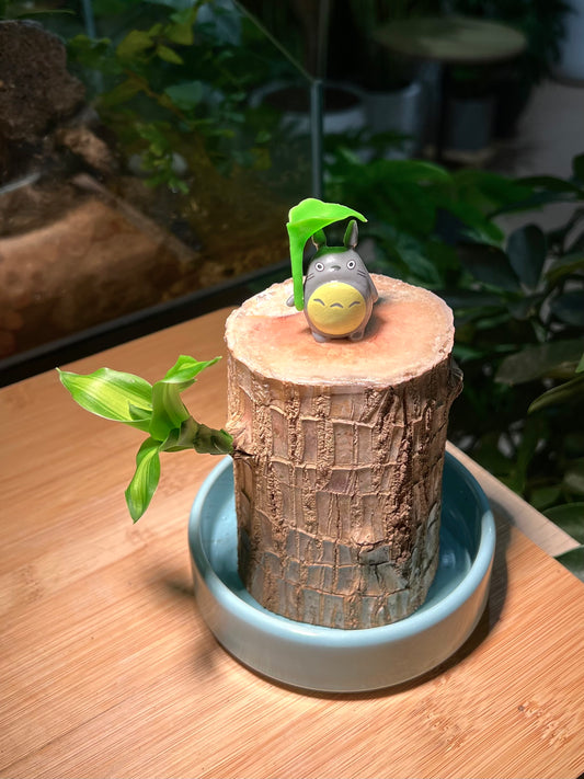 Brazil Wood with Totoro Figurine