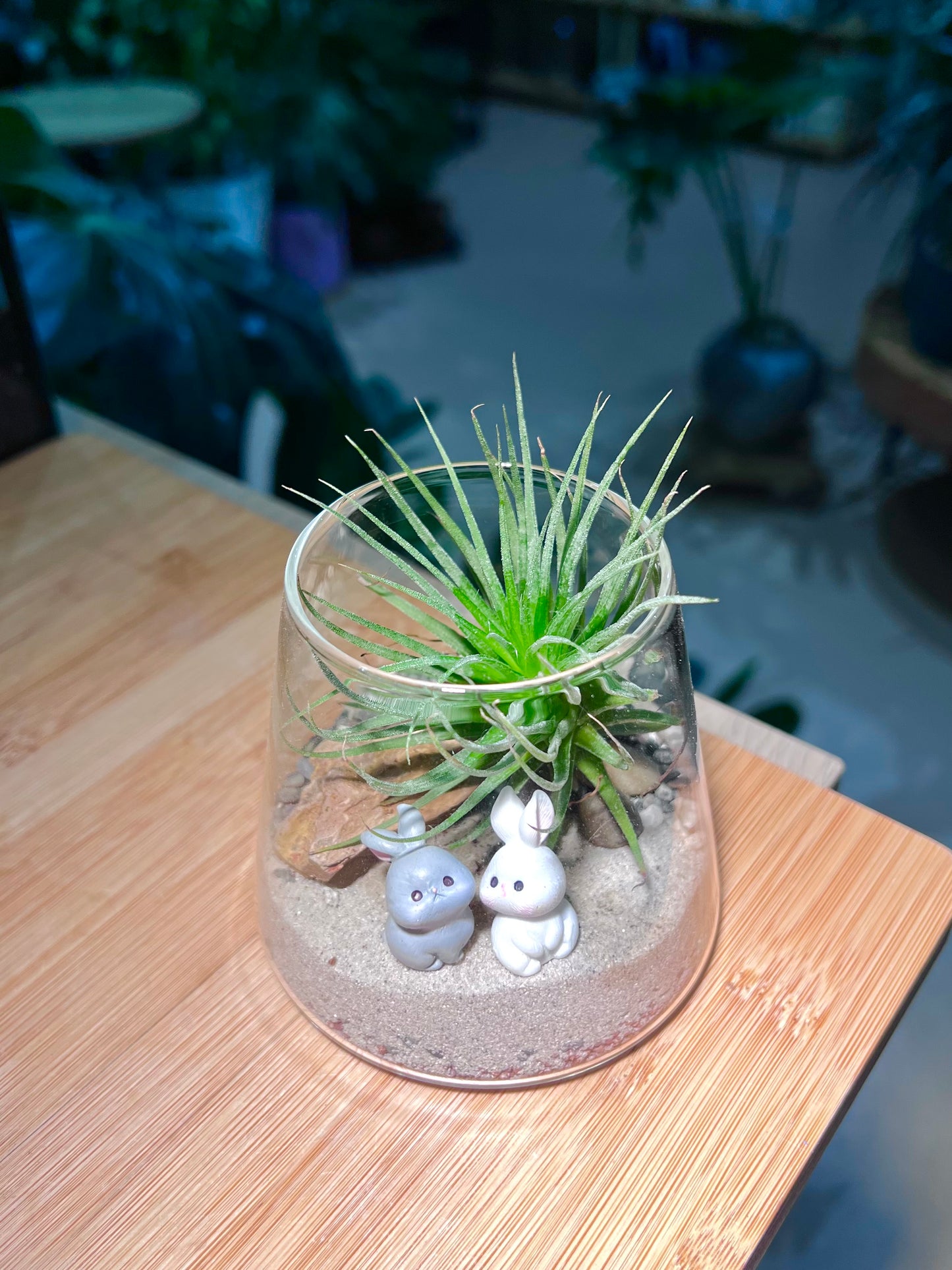 Airplant in Fuji Glass with 🐇 Figurines