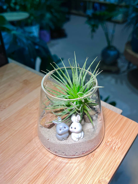 Airplant in Fuji Glass with 🐇 Figurines