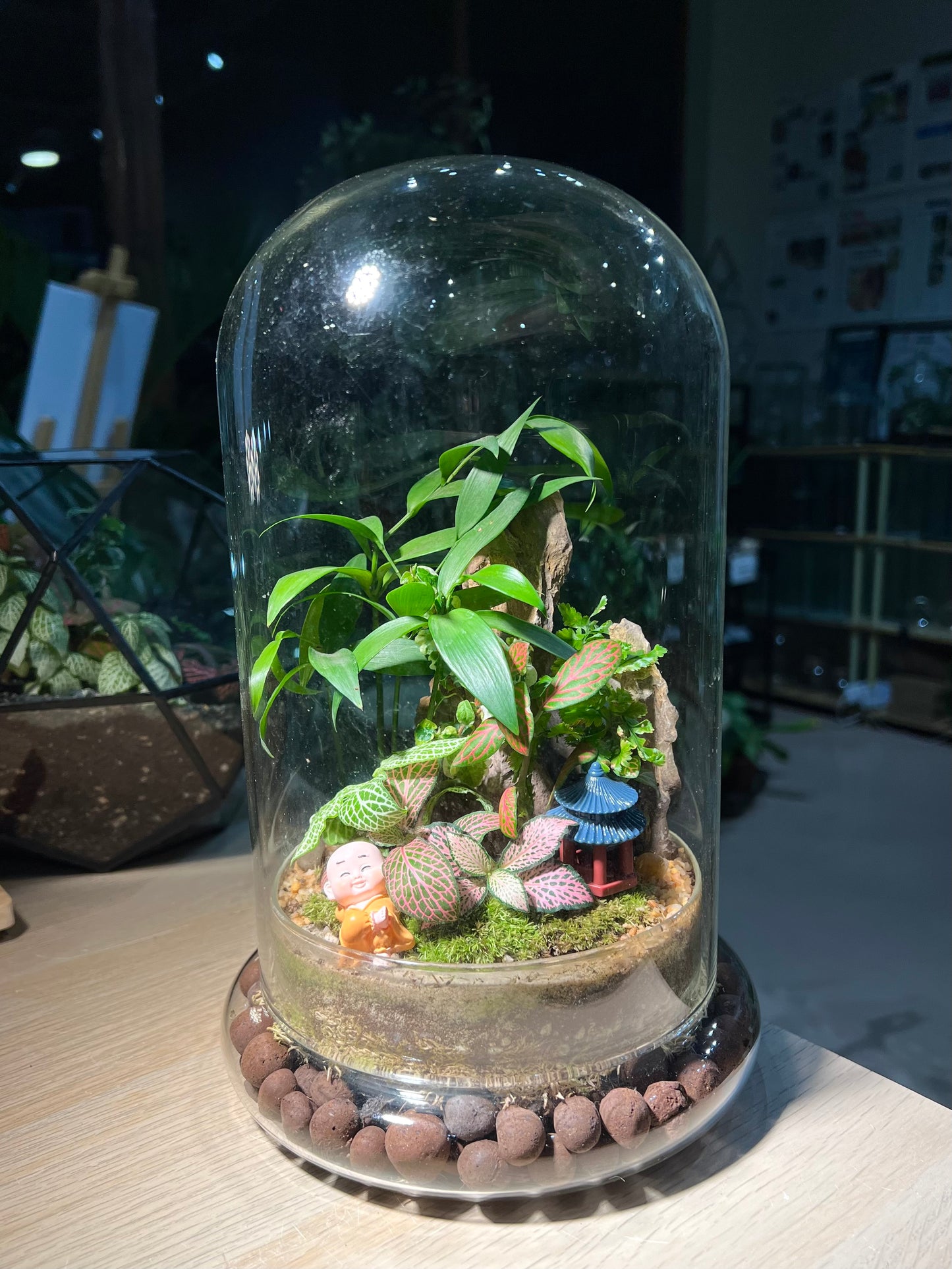 Fittonia and Nageia Nagi with Moss (Indoor Plant) Arrangement in Bell Glass Terrarium (L)