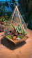 Indoor Plant Terrarium in Diamond Glass (M)