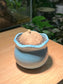 Stephania in Blue Petal-Edge Ceramic Pot