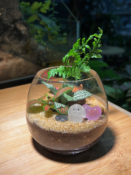 Fittonia & Fern Arrangement in Wine Glass