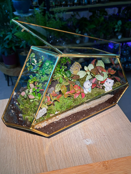 Indoor Plant Arrangement Pumila & Fittonia & Bubble (薜荔 & 网纹草 & 黑美人) in Golden Polygonal Glass with Lid