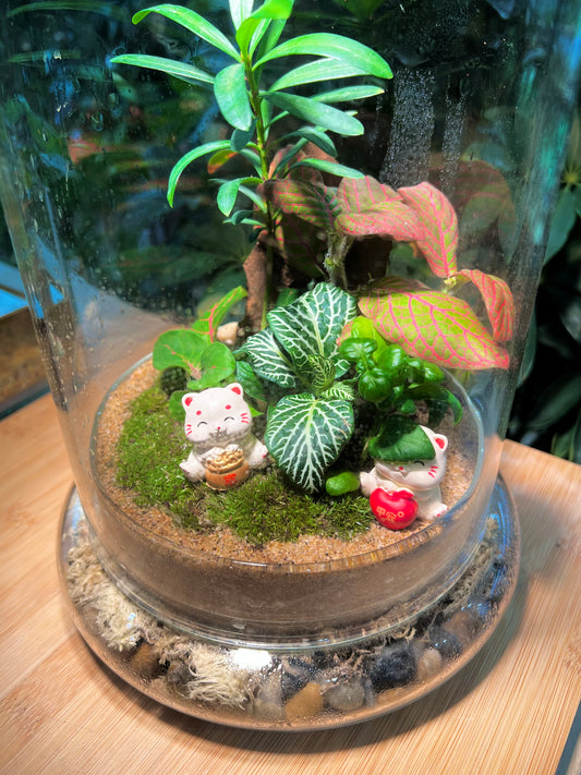 Fittonia and Podocarpus with Moss Arrangement in Bell Glass (L)