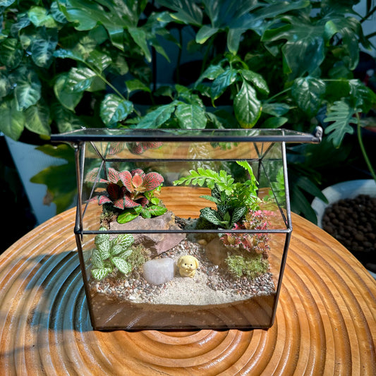 Black Frame Housing Designer Terrarium