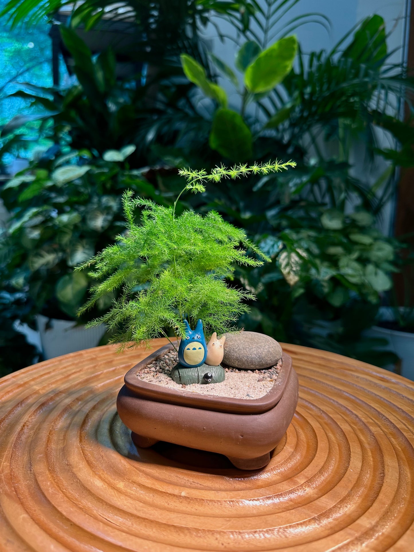 Asparagus Fern in Brown Designer Pot