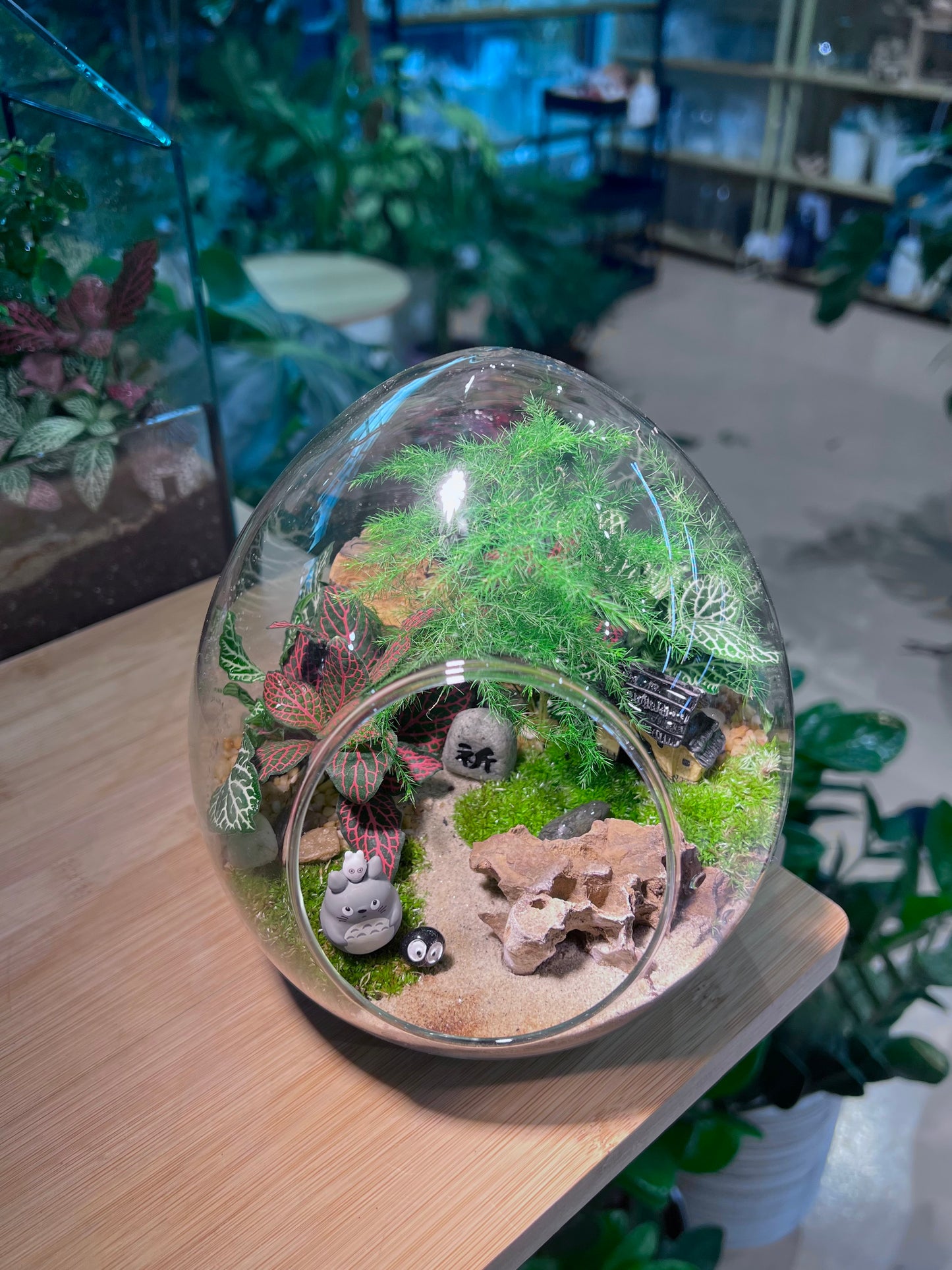 Fittonia and Asparagus Fern with Moss Arrangement in Eggette Glass Terrarium (L)