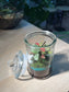 Indoor Plant Terrarium in Glass Jar (M)