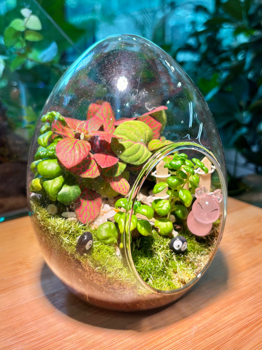 Indoor Plant in Egg Glass Terrarium 🐰🪺