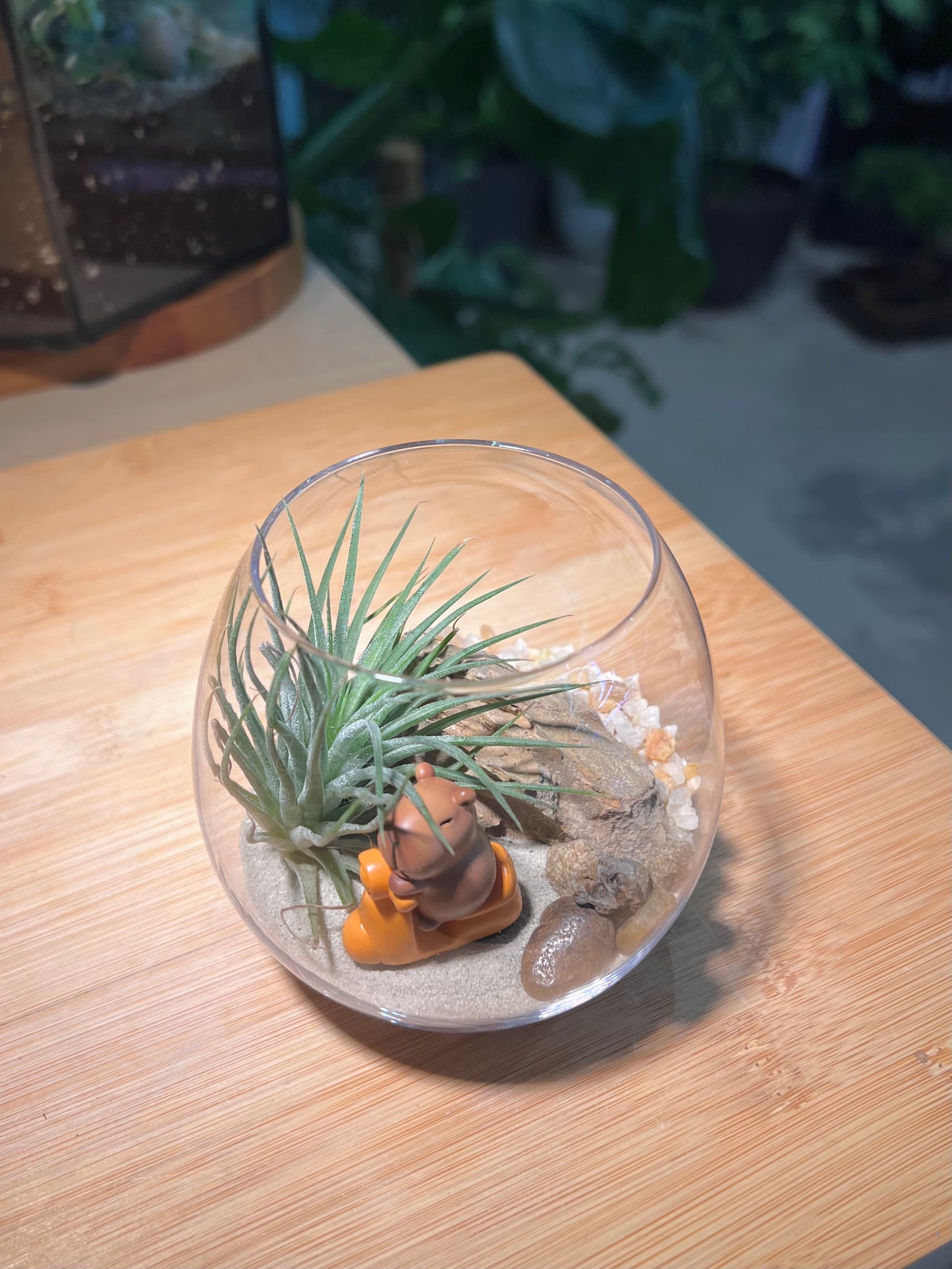 Airplant in Wine Glass with Capybara Figurine