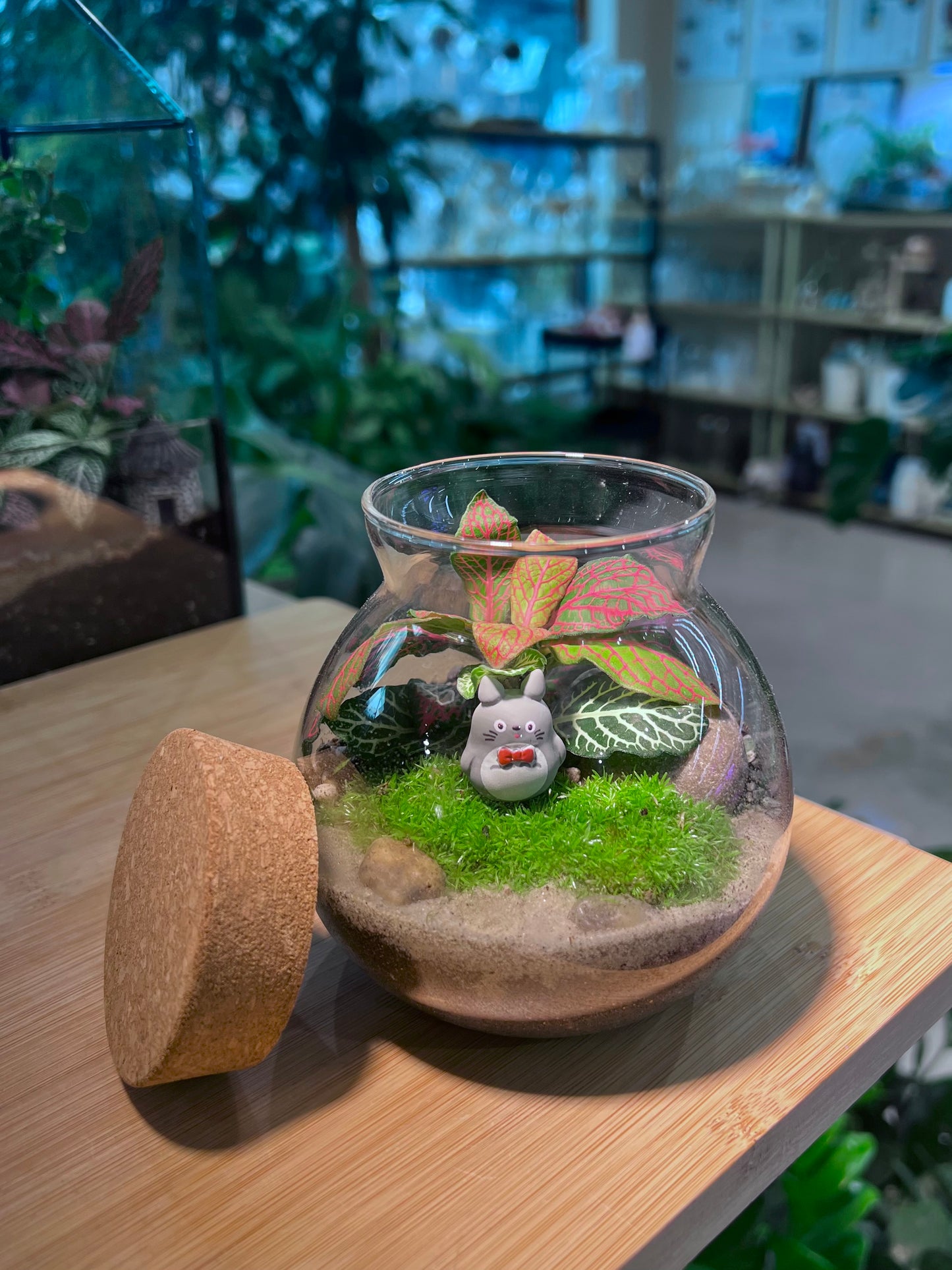 Fittonia with Moss Arrangement in Round Covered Glass Terrarium (S) - Totoro Figurine