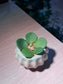 Peperomia Hope in Pumpkin Ceramic Pot