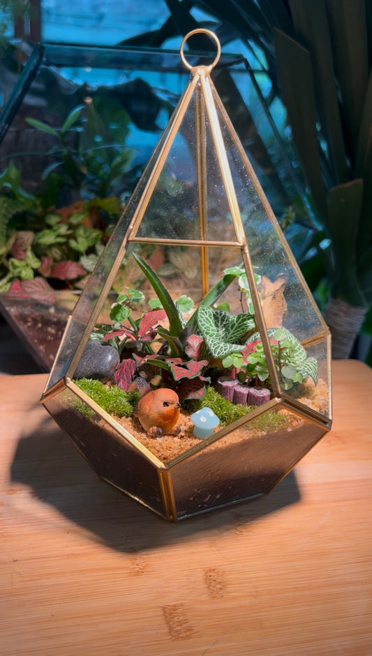 Indoor Plant Terrarium in Diamond Glass (M)