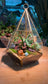 Indoor Plant Terrarium in Diamond Glass (M)