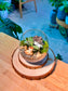 Fittonia and Moss Arrangement (Indoor Plant) in Crystal Glass