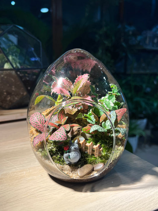 Fittonia with Moss (Indoor Plant) Arrangement in Eggette Glass Terrarium (M)