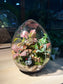 Fittonia with Moss (Indoor Plant) Arrangement in Eggette Glass Terrarium (M)