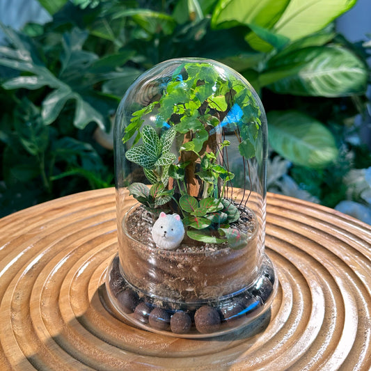 Fittonia and Fern in Bell Glass Indoor Plant Terrarium
