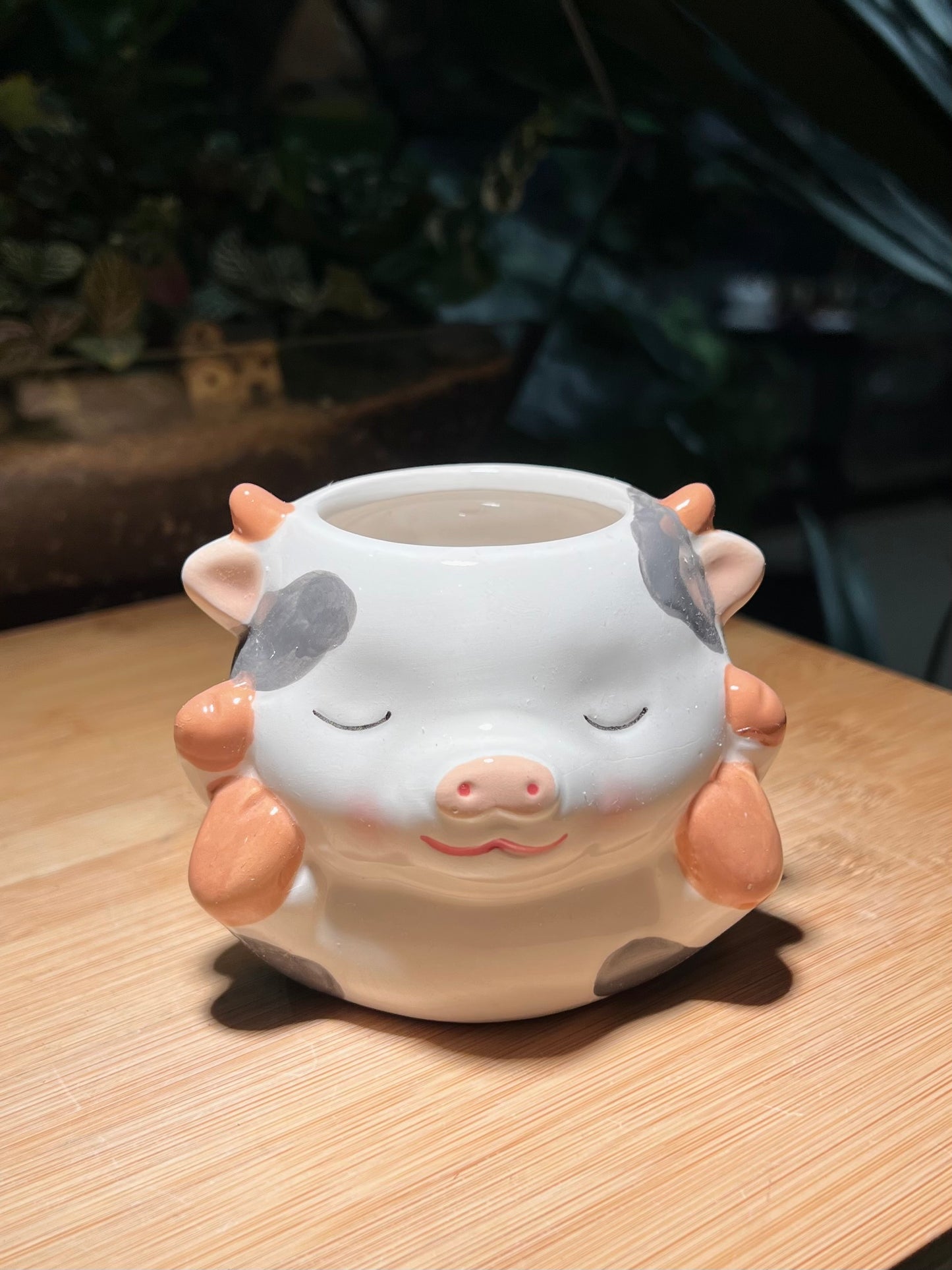 Sleepy Piggie Ceramic Pot