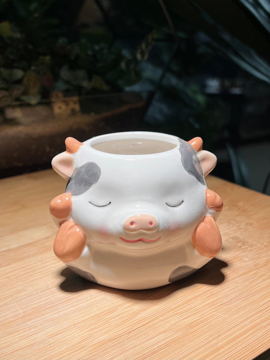 Sleepy Piggie Ceramic Pot