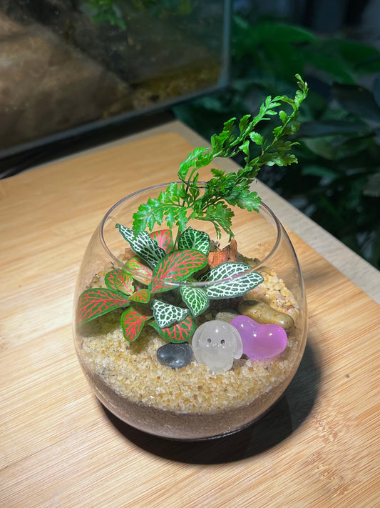 Fittonia & Fern Arrangement in Wine Glass