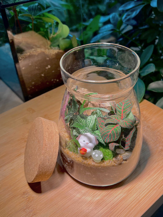 Fittonia and Fern with Moss Arrangement in Cover A Line Glass Jar