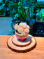 Mammillaria Plumosa (Feather Cactus) in Ceramic Pot