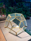 Football Polygonal Gold Frame Glass (S)