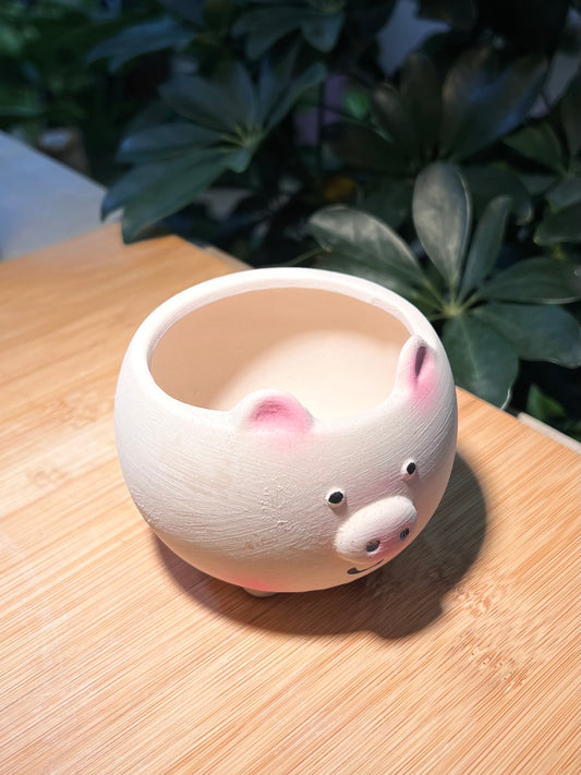 Round Pinky Piggy Claypot