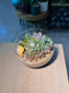 Succulent Terrarium in Round Glass (L)