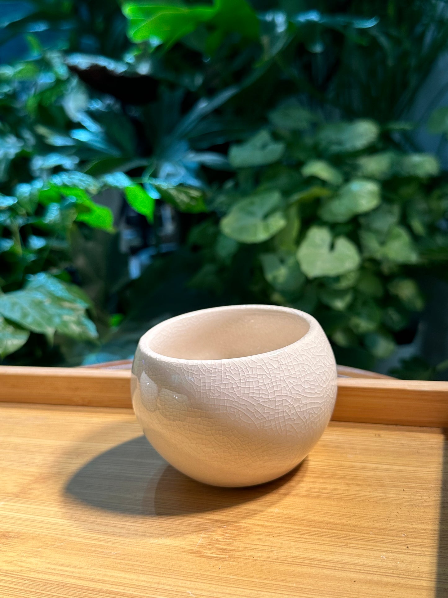 Designer Ceramic Pot