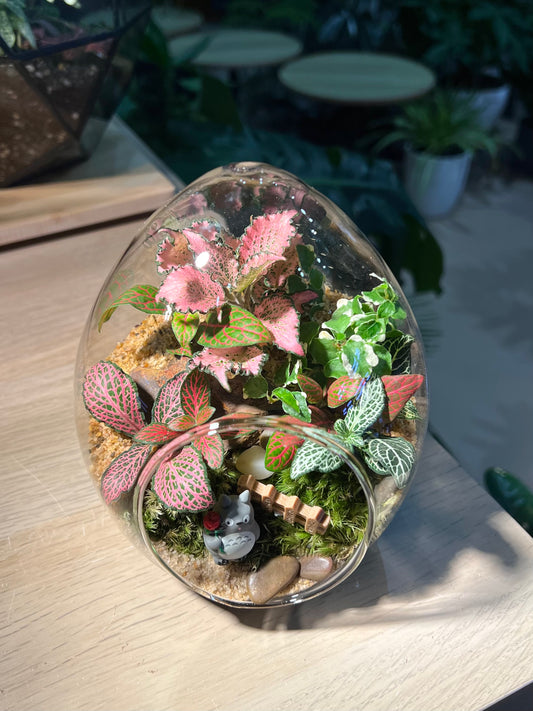Fittonia with Moss (Indoor Plant) Arrangement in Eggette Glass Terrarium (M)