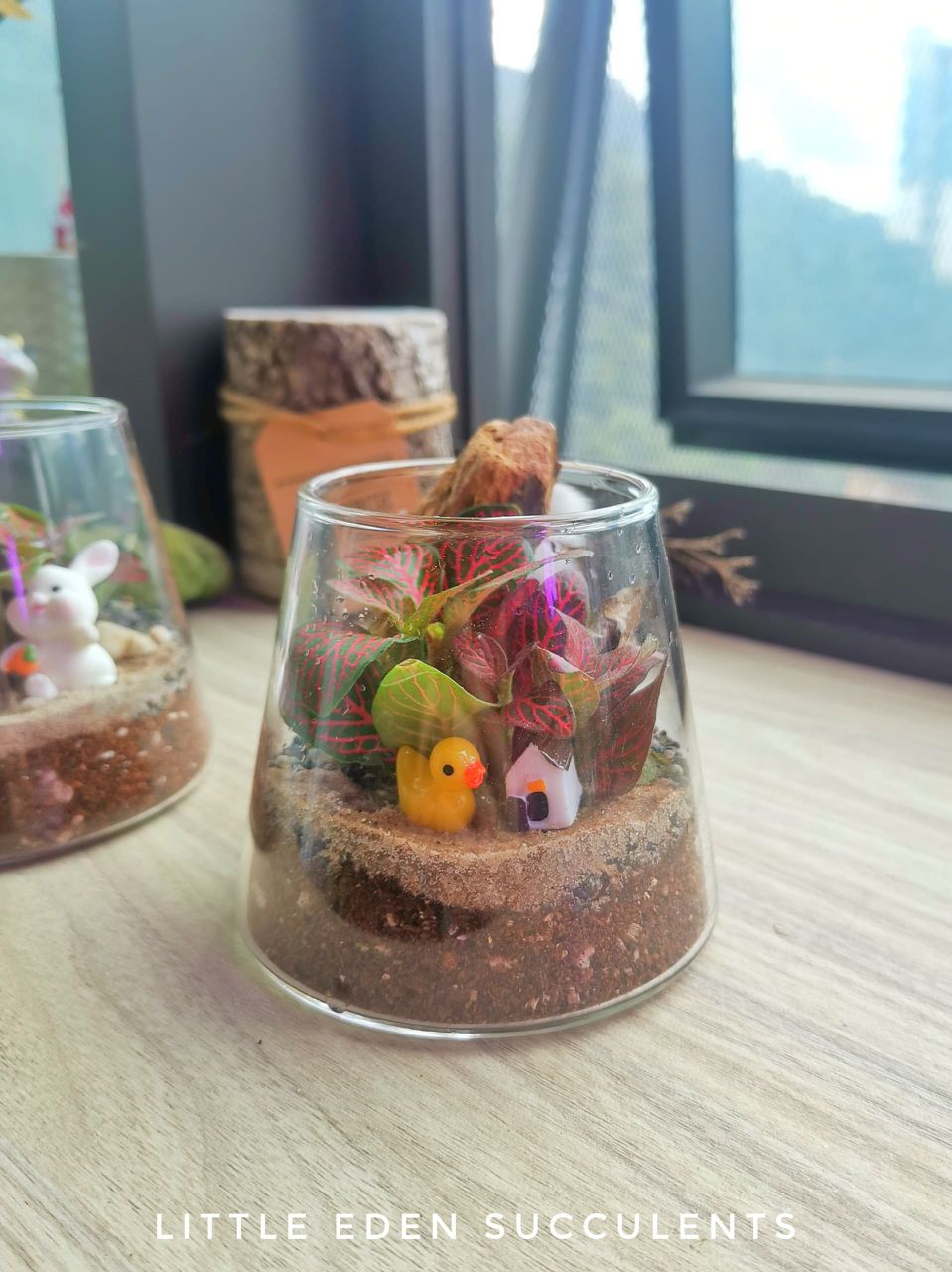 Fuji Glass Terrarium Workshop