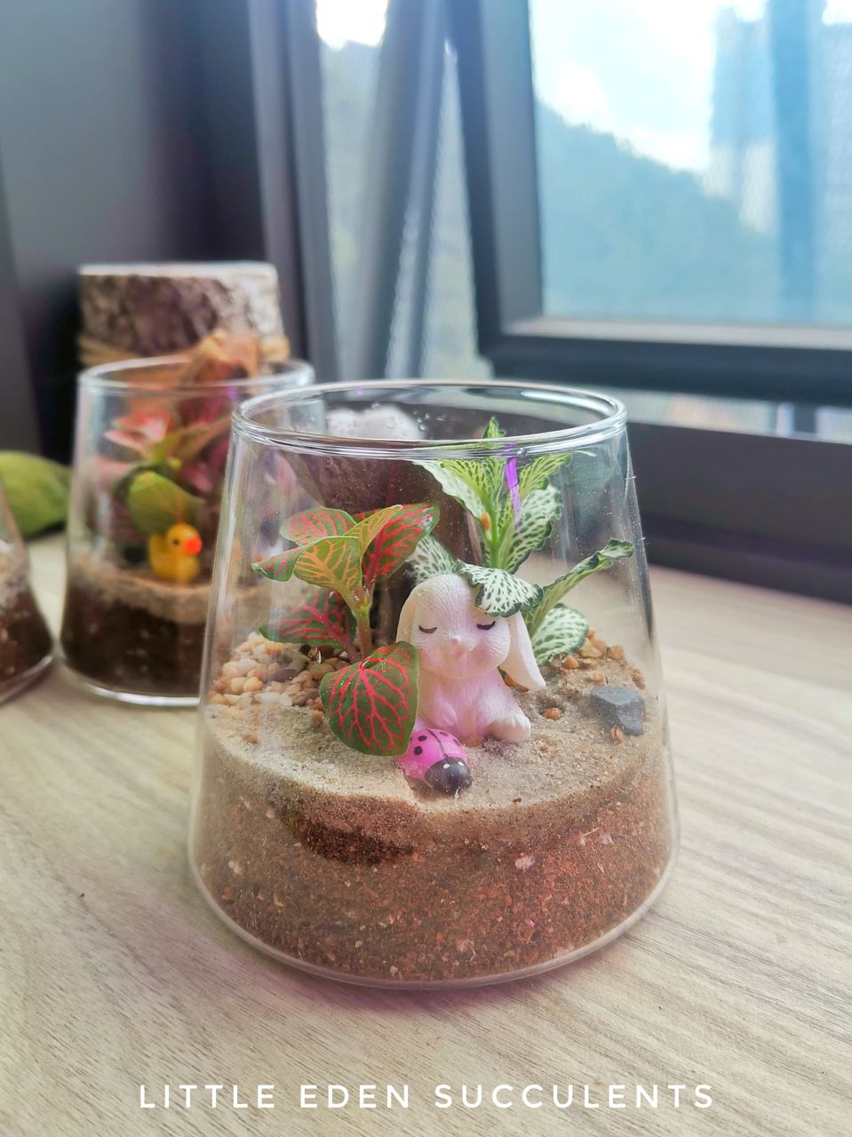 Fuji Glass Terrarium Workshop