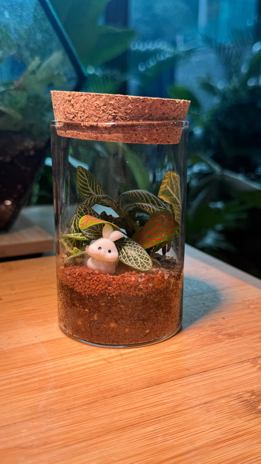 Cylindrical Covered Glass Indoor Plant Terrarium (L) DIY Kit