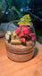 Indoor Plant in Muji Glass Wooden Base