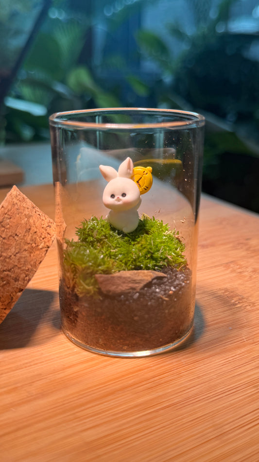 Cylindrical Covered Glass Indoor Plant Terrarium (S) DIY Kit