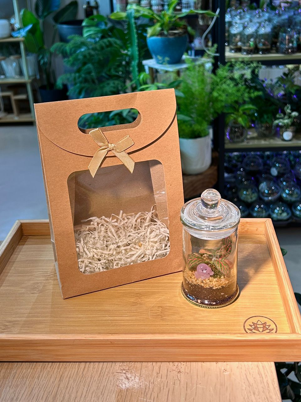 Window Gift Bag with Ribbon