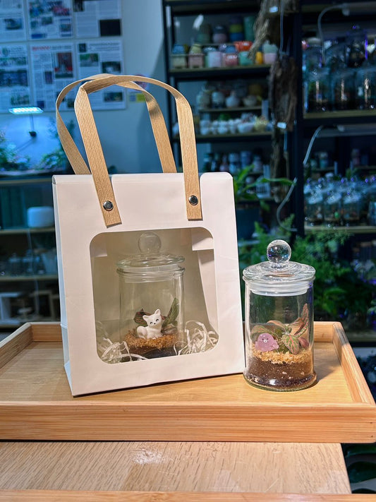White Window Gift Bag with Handle