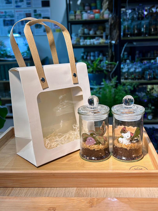 White Window Gift Bag with Handle