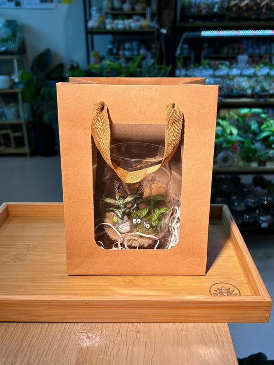 Window Gift Bag with Handle
