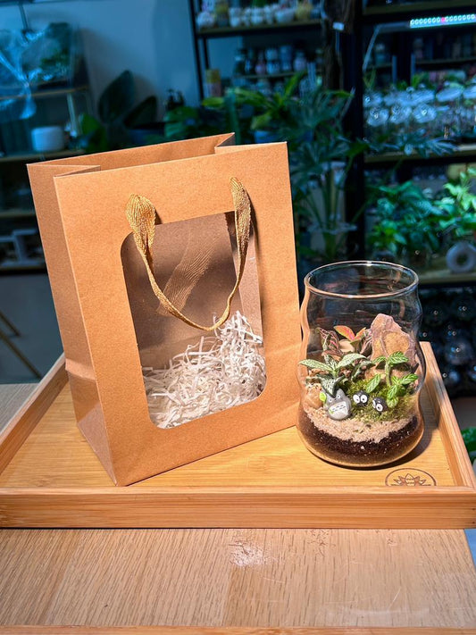 Window Gift Bag with Handle
