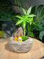 Zen Bonsai in Faux Stone Pot