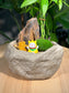 Zen Bonsai in Faux Stone Pot