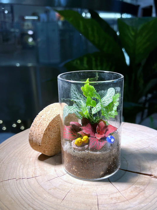 Fittonia & Fern Arrangement in Tall Cylindrical Glass