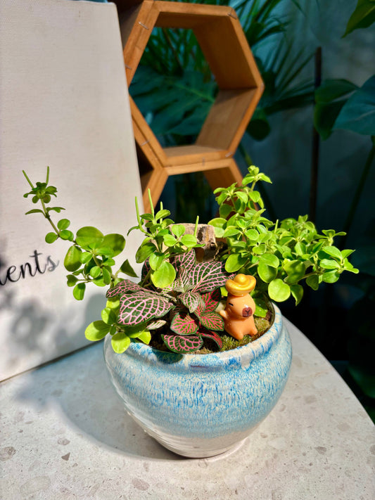 Fittonia & Peperomia Rotundifolia Arrangement in Capybara Blue Sea Pot
